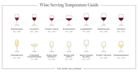 wine serving temperature guide  wine cellarage