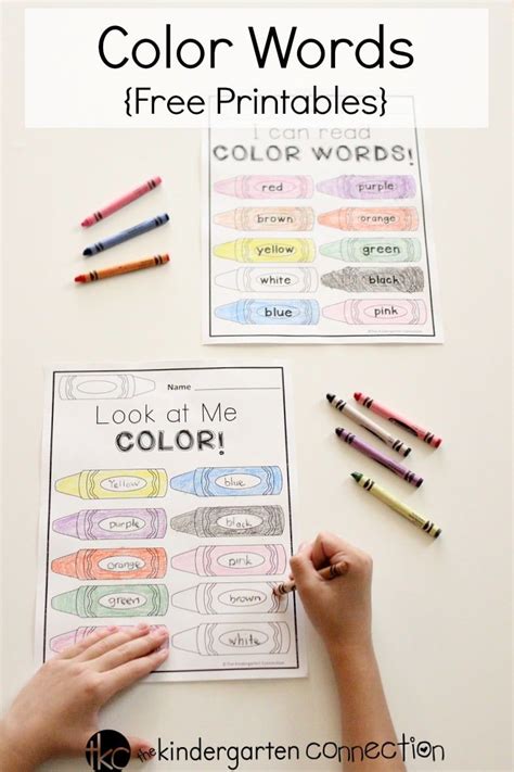 color words  printable color words kindergarten  preschool