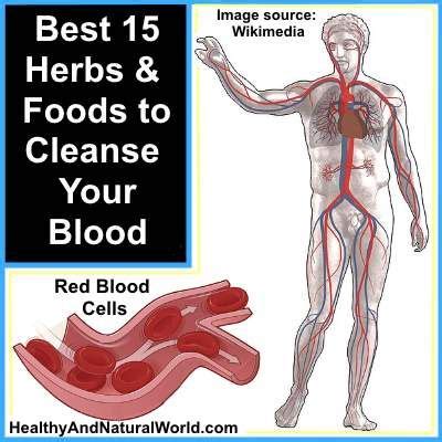 eat  natural foods  purify  blood    healthy