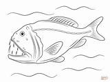 Fish Peixe Fangtooth Colorir Abysses Desenhos Fang Creatures Peixes Cartoon Categorias sketch template