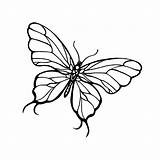 Butterfly Simple Drawing Getdrawings Flying sketch template