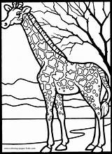 Coloring Pages Animal Giraffe Color Printable Africa Sheets Found Giraffes sketch template