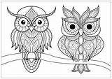 Owls Coloring Two Owl Mandala Branch Easy Pages Simple Adults Patterns Animals Calm Nature Template Sketch sketch template