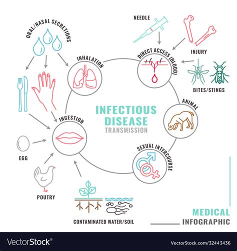 infectious disease transmission royalty  vector image