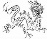 Coloring Dragon Pages Detailed Adults Print Popular sketch template