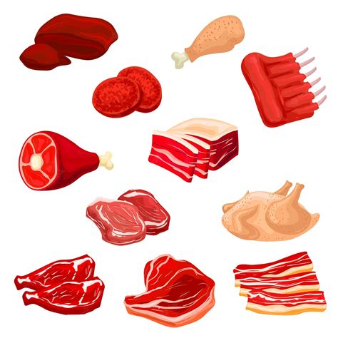 premium vector meat isolated icons illustration
