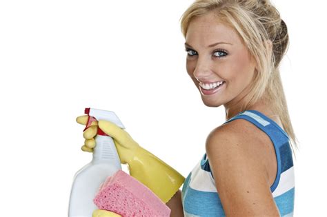home cleaning services ottawa ottawa homes services group