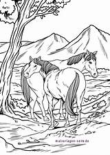 Wildpferde Ausmalbilder Pferde Malvorlage Rennen Reiten sketch template