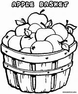 Apple Coloring Apples Pages Print Drawing Bucket Getdrawings sketch template