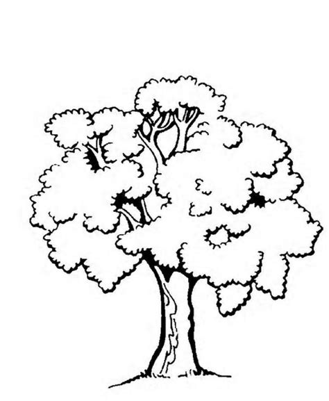 tree coloring pages  ideas  children coloringfoldercom tree