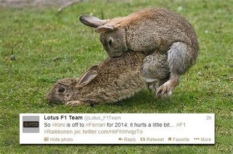 kimi raikkonen joins ferrari lotus post rabbit sex tweet in response to finn s departure