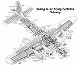 Fortress Bombers B17 Avion Hendon Cutaway Luftwaffe Fiddlersgreen Avions Maquetland Dicembre sketch template