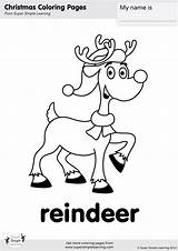Reindeer Coloring Christmas Simple Worksheets Pages Hello Super Kindergarten Color Esl Songs Flashcards Activities Flashcard Contains Learning Classroom Fun Printables sketch template