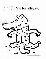 Alligator Coloring Sara Print Silly Sweet sketch template