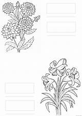 Copic Coloring Markers Flowers Color Chart Noir Spectrum sketch template