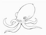 Octopus Drawing Draw Sketch Easy Simple Kids Cartoon Fish Pencil Drawings Animals Sea Step Scary Realistic Sketches Howtodrawanimals Animal Coloring sketch template
