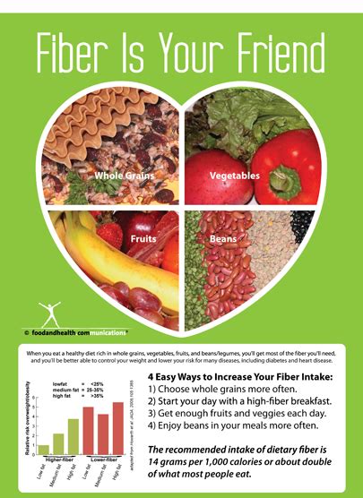 fiber is your friend poster 16 15 nutrition education store