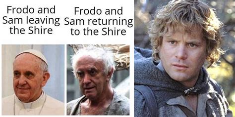 lord   rings  memes  perfectly sum  sam   character