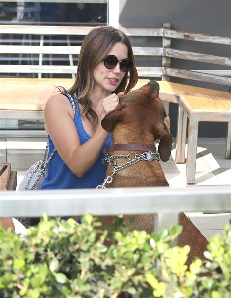 Sophia Bush Hot Photos Out And About In West Hollywood