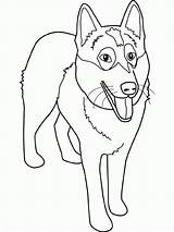 Coloring Husky Puppy Alaskan Pages Malamute Comments Getdrawings Drawing Dog Color sketch template