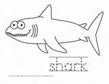 Shark Pages Color Sea Kid Kids Coloring Under Week Practice Colouring Preschool Handwriting Worksheets Fish Ocean Theme Cute Crystalandcomp Sharks sketch template