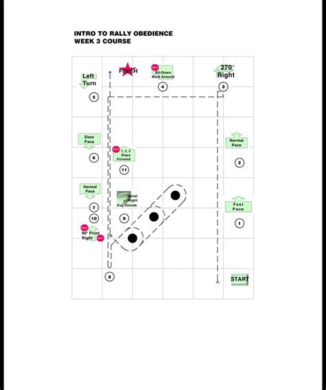 map rally dog training obedience map