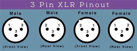 pin male  female connectors reviewscom