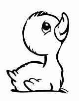 Baby Duckling Drawing Coloring Pages Ducks Clipart Duck Sad Library Mother Ugly Cartoon Animal Cliparts Print Clipartmag sketch template