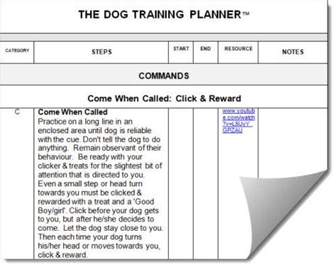dog training planner