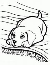 Coloring Pages Puppys Puppies Comments sketch template