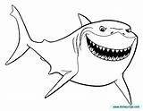 Nemo Bruce Finding Pages Coloring Color Shark Disney Colouring Drawing Pixar Printable Bing Cartoon Disneyclips Squirt Kids Anchor Findingnemo Coloriage sketch template