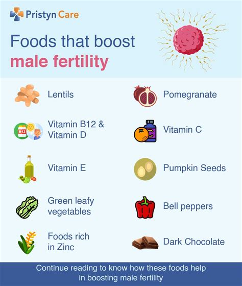 top  foods  increase male fertility pristyn care