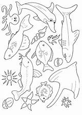 Fisch Malvorlage Vissen Stimmen sketch template