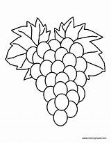 Template Grapes Grape Line Drawing Coloring Printable Templates Fruit Printablee Via sketch template
