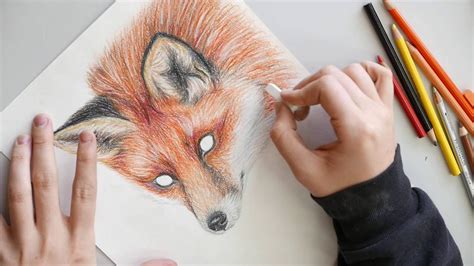red fox colored pencil drawing youtube
