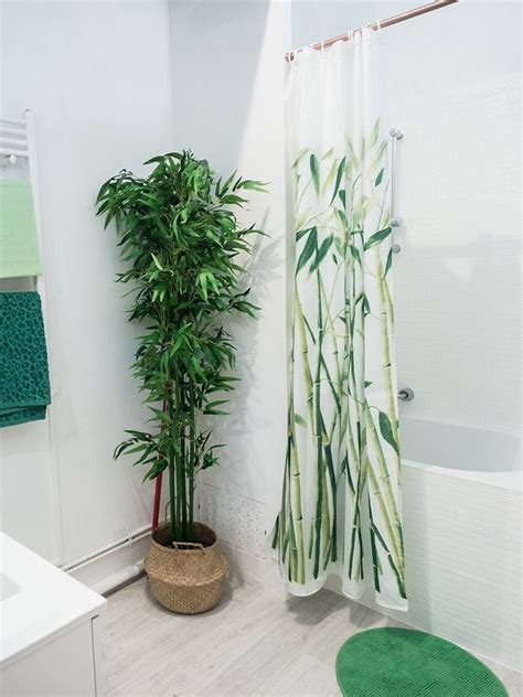 12 Shower Plants That Will Thrive In The Bathroom Bob Vila Bob Vila
