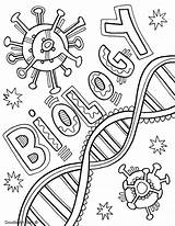 Biology Coloring Pages Cover Anatomy sketch template