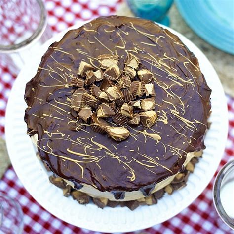 rich chocolate peanut butter cup cake recipe reluctant entertainer
