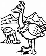 Ostrich Coloring Pages Color Clipart Print Animal Animals Printable Sheet Back sketch template