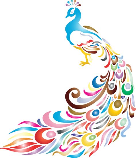 peafowl bird clip art peacock png download 1980 2308 free