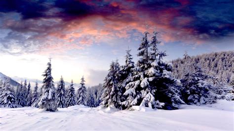 winter scene desktop background  images