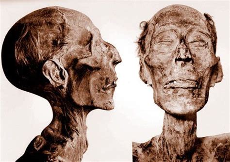 Ramses Ii Mummipedia Wiki Fandom