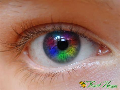 rainbow  eyechanging eye color hd wallpaper photoshop skills