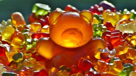 animals bears gummy bears sweets candies colorful food closeup