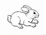 Rabbit Mewarnai Hewan Anak Tk Lucu Paud Anak2 Freekidscoloringpage Marimewarnai Bagus Sheets Pensil Pemandangan Colorier sketch template