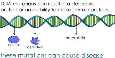 gene therapy definition examples expii