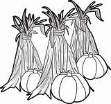 Corn Coloring Pumpkins Stalks Printable Pumpkin Stalk Clipart Fall Hay Pages Cartoon Mums Color Cliparts Sheets Kids Print Gourds Colouring sketch template