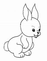Hase Ausmalbilder Kostenlos Ausmalbild Ausmalen Hasen Malvorlagen Ostern Vorlage Rabbit Malvorlagentv Häschen Walt Ausdrucken Auswählen sketch template