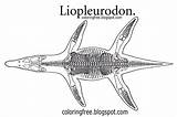 Liopleurodon Prehistoric Aquatic Jurassic Period sketch template