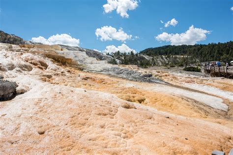 mammoth hot springs at yellowstone national park editorial photography
